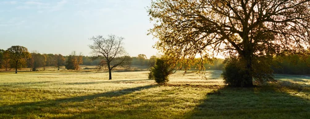 Moffit Spring