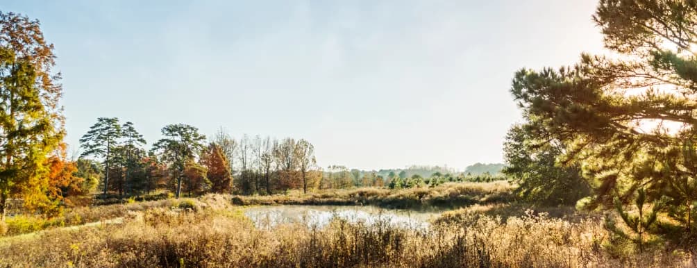 Roher Springs